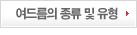 여드름의