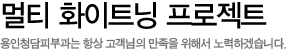 멀티 화이트닝 프로젝트
