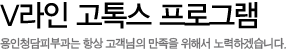 V라인 고톡스 프로그램