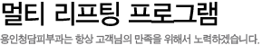 멀티 리프팅 프로그램