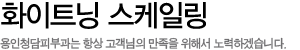 화이트닝 스케일링