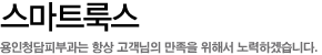 스마트룩스
